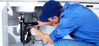 Best 24/7 Emergency Plumbing Services  in Cologne, MN